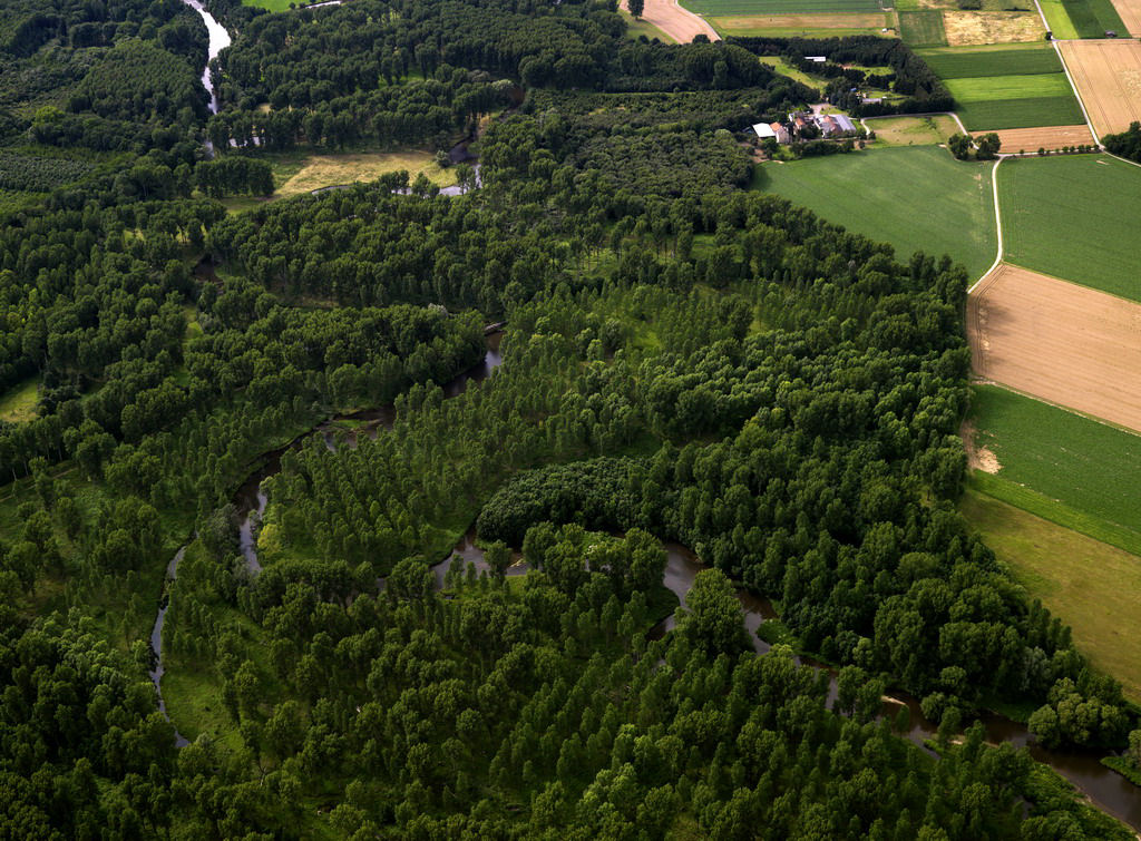 Rur, untere Angelgrenze
